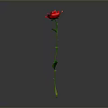 Red Rose with Green Stem and Leaves on Gray Background with Reflection