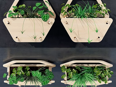 Indoor Wooden Hanging Planters With Green Bonsai And Various Leaf Plants 3d model