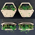 Indoor Wooden Hanging Planters With Green Bonsai And Various Leaf Plants