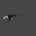 White Manta Ray With Black Spots Swimming In Deep Blue Ocean