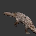 Realistic Pangolin 3D Model With Detailed Scaled Body And Armor Texture 3d model
