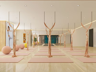 Modern Yoga Studio with Yoga Mats Aerial Hammocks and Balls for Female Fitness Training 3d model