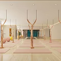 Modern Yoga Studio with Yoga Mats Aerial Hammocks and Balls for Female Fitness Training