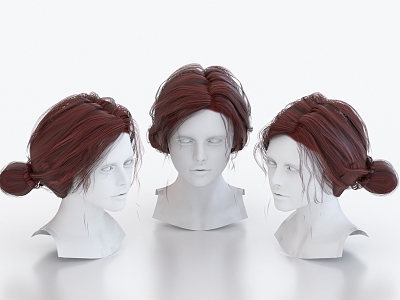 Hair Wig Hairstyle Long Hair Head 3d model