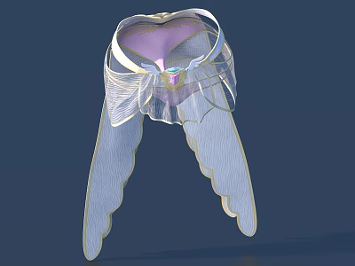 Elegant Fairy Style Dress With Heart Shaped Top And Tulle Wing Details 3d model