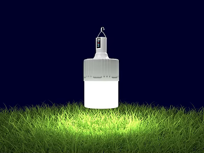 Bright White LED Bulb Hanging Over Green Grass Illuminated At Night 3d model
