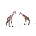 Two plastic giraffe models standing face to face on white background