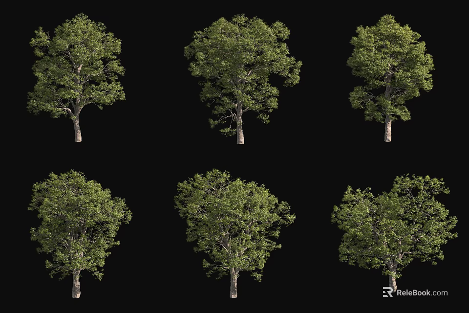 Arbor Various Forms With Lush Green Foliage For Landscape Design Projects 3d model