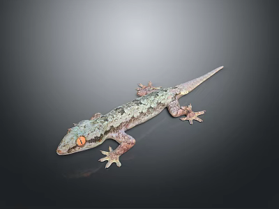 Gecko Reptile With Orange Eyes And Green Gray Scales On Dark Background 3d model