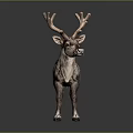 Detailed Realistic Reindeer Sculpture With Large Antlers Standing On Dark Shiny Background