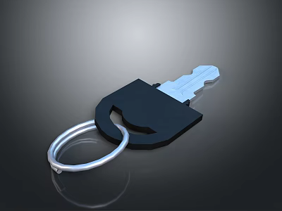Metal Key With Black Handle Silver Blade And Key Ring On Dark Background 3d model