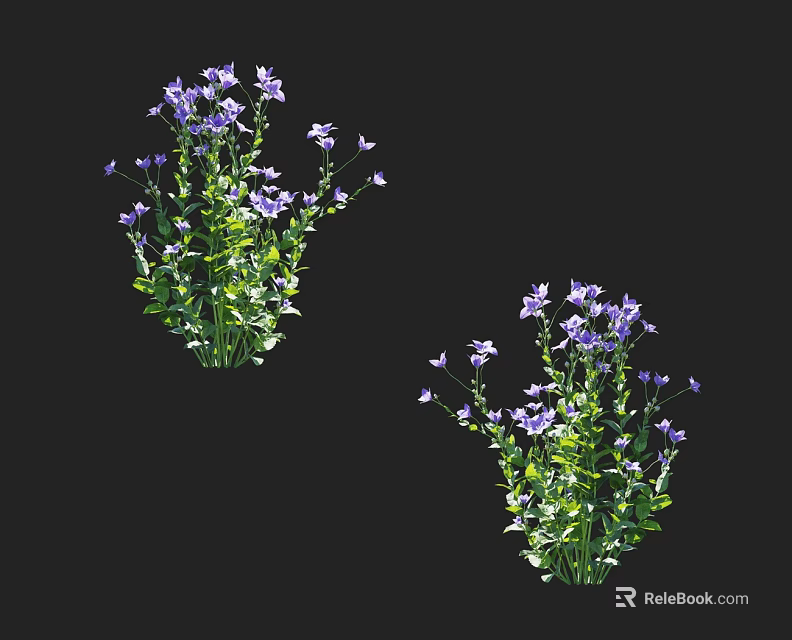 Vibrant Purple Flowers with Lush Green Leaves in Two Garden Clusters 3d model 