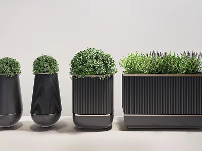 Stylish Plant Combination With Ribbed Black Planters And Lush Green Plants 3d model