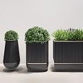 Stylish Plant Combination With Ribbed Black Planters And Lush Green Plants