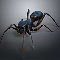 Detailed Black Ant 3D Model With Long Brown Legs On Dark Background