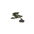 Bonsai Tree With Twisted Trunk And Lush Green Foliage In Brown Ceramic Pot