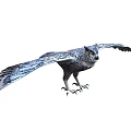 Flying Owl With Blue And Gray Feathers Outstretched Wings And Sharp Claws