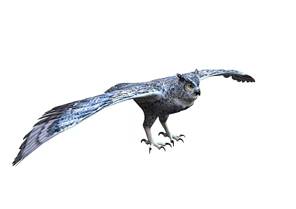 owl raptor bird animal wild animal flying animal 3d model