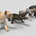 Collection of Various Animal Models Including Lion Boar Bear Bird and Turtle