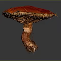 Vibrant Red Mushroom Featuring Bright Yellow Edges And White Root Threads On Gray Gradient Background 3d model
