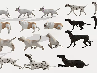 Detailed Images Of Various Reptile Species In Different Poses On White Background 3d model