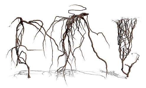 Modern Vine Dead Branch 3d model