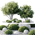 Green Shrubs And Trees In Garden Landscape With Round Stones Arrangement