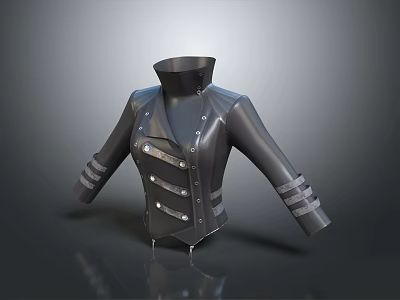 Black Leather Jacket With Stand Collar Button Details And Striped Cuffs 3d model