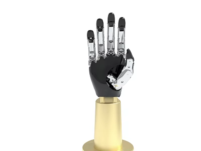 Robotic Hand Mechanical Structure Display On Golden Base Stand 3d model