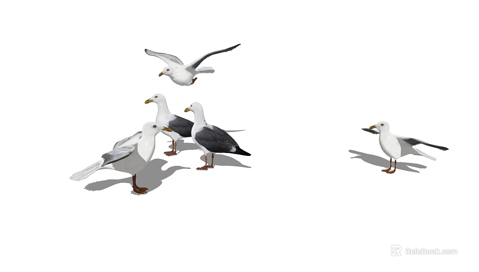 Group of Seagulls Some Flying and Others Standing on White Background 3d model 