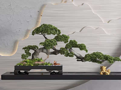 Lush Green Bonsai Plant With Curved Trunk On Black Tray Stand And Grey Wall Background 3d model