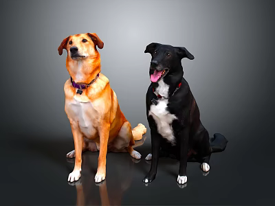 Two Golden and Black Dogs Sitting with Collars on Dark Background 3d model