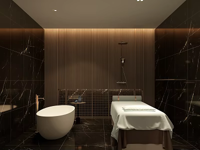 Luxury Modern Massage Bed in Spa Bathroom with Wooden Panels and Bathtub 3d model