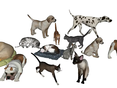 Diverse Reptile Species Including Lizards Turtles And Snakes In Natural Habitat 3d model