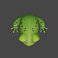 Cute Green Frog 3D Model on Blue Background with Animated Features 3d model