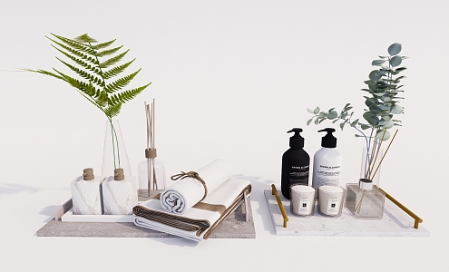 Modern toiletries supplies ornaments combination 3d model