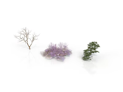 Three Different Plants Featuring Bare Tree Purple Flowering Bush And Green Leafy Tree 3d model