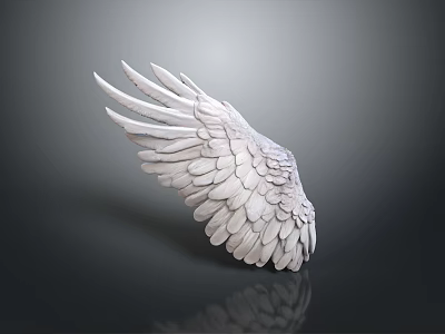 Decorative White Feather Wing Ornament For Home Living Space Decor 3d model