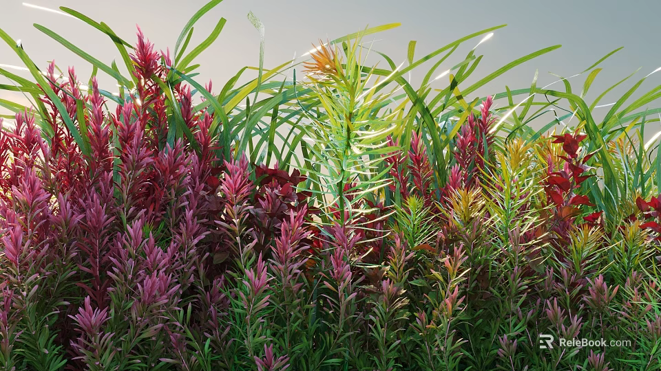 Vibrant Aquatic Plants With Red Pink Green Slender Leaves Clustered Growth 3d model 