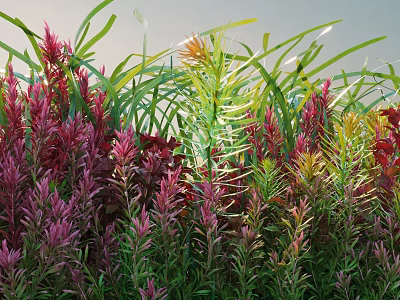 Vibrant Aquatic Plants With Red Pink Green Slender Leaves Clustered Growth 3d model