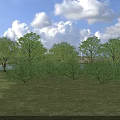 Inscribed Stones And Wooden Elements In Grassland With Trees And Blue Sky