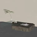 Contemporary Glass Top Coffee Table with Stone Base Tray Magazine and Fern