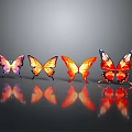 Pink Yellow Orange Red Butterflies With Reflections On Gray Background