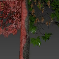 Modern Landscape Trees Road Trees Street Trees Ash Trees Oak Trees Big Trees 3d model
