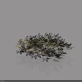 Natural Silver Feathery Grass Ornamental Plants On Light Background With Subtle Reflection 3d model