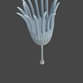 First Animals Decorative Vase Like Object With Petal Structure And Small Dots