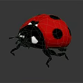 Cartoon Ladybug With Red Back Black Spots And White Eyes On Dark Background