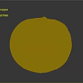 Healthy Organic Fresh Ripe Orange Pumpkin With Smooth Surface On Dark Background