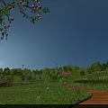 Tall Arbor Trees With Flowering Branches In Green Meadow Wooden Walkway And Wind Turbines