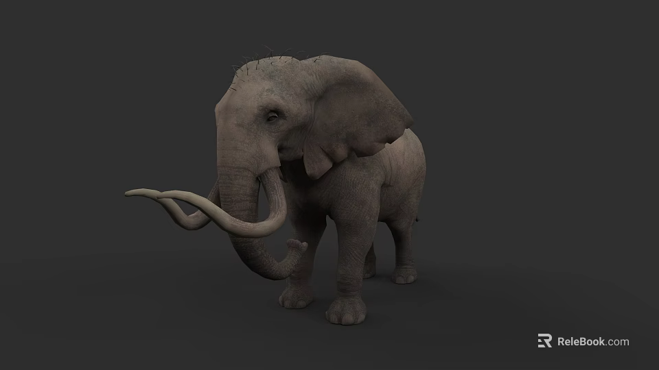 Gray Elephant with Long Trunk and Tusks Standing Against Dark Background 3d model 
